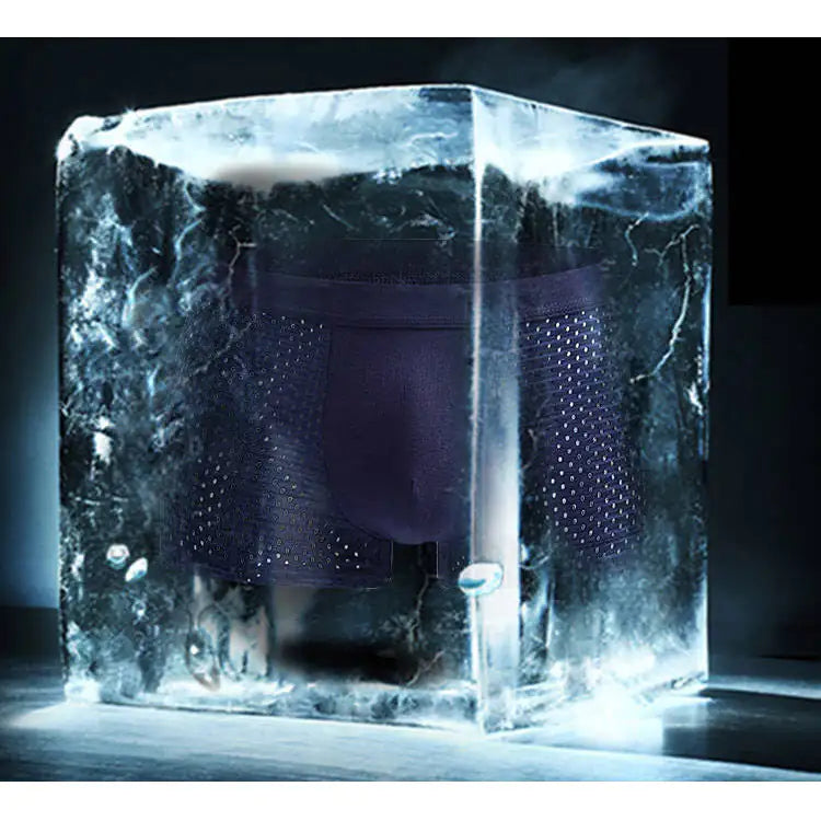 Ice Silk Men's Athletic Mesh Boxer